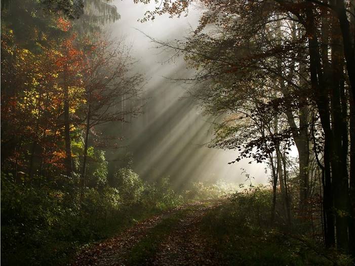dawn