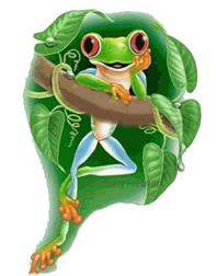 sapo1