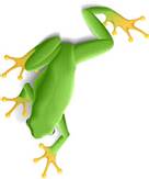 نتيجة بحث الصور عن ‪frog‬